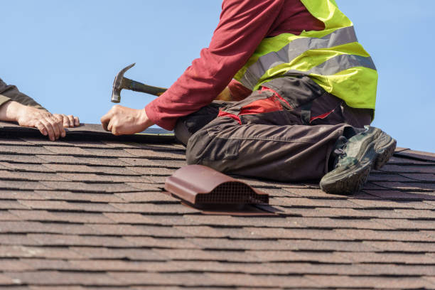 Best Roof Repair Services  in Iowa Falls, IA