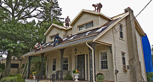 Best Best Roofing Contractors  in Iowa Falls, IA